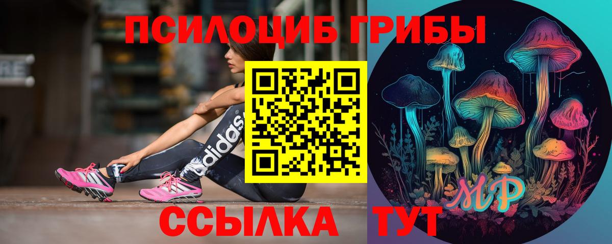 Псилоцибиновые грибы мицелий  Вход с VPN  Озёрск  Псилоцибиновые грибы мицелий 